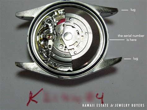 rolex d serial|rolex movement serial number.